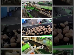 ফল পরিষ্কার এবং মেশিন নির্বাচন