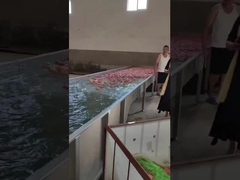 ফল পরিষ্কার এবং মেশিন নির্বাচন