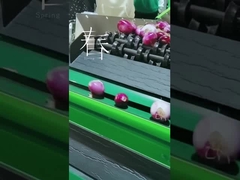 ফল পরিষ্কার এবং মেশিন নির্বাচন