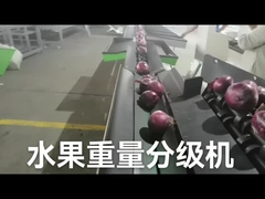 স্বয়ংক্রিয় ইলেকট্রনিক ফল বাছাই এবং ওজন মেশিন