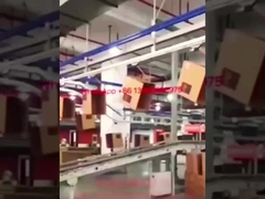 প্যাকিং হাউসের জন্য কার্টন প্যাকিং সিস্টেম