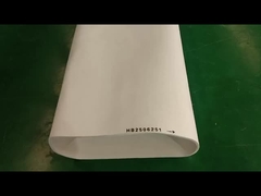 ডাবল-সাইড উচ্চ তাপমাত্রা Nomex ফিল্ট বেল্ট