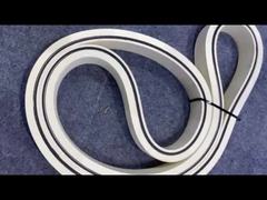 রাবার মাছের হাড় আলাদা করার পরিবাহক বেল্ট